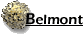 belmont.gif (1499 bytes)